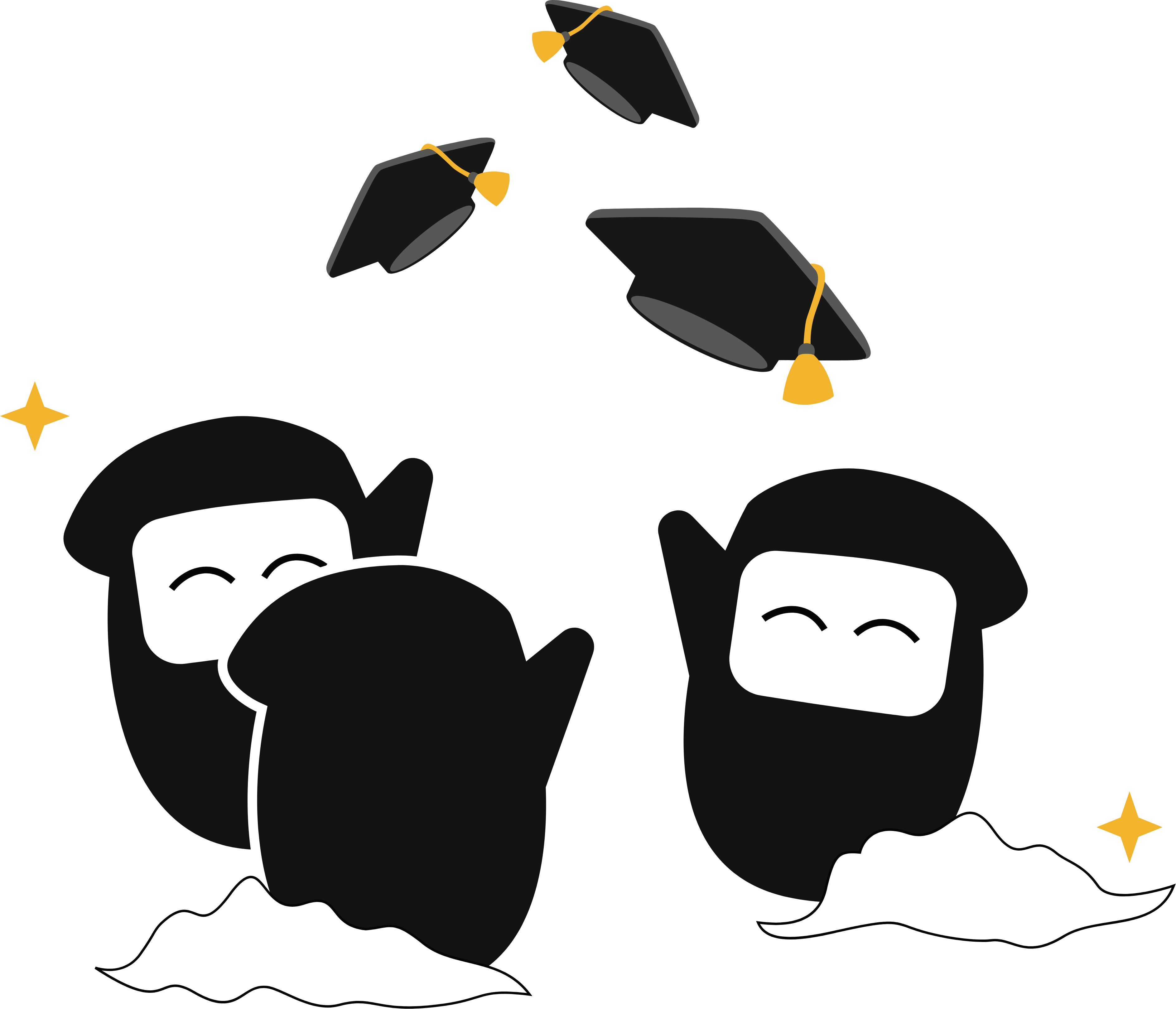 Ninja image